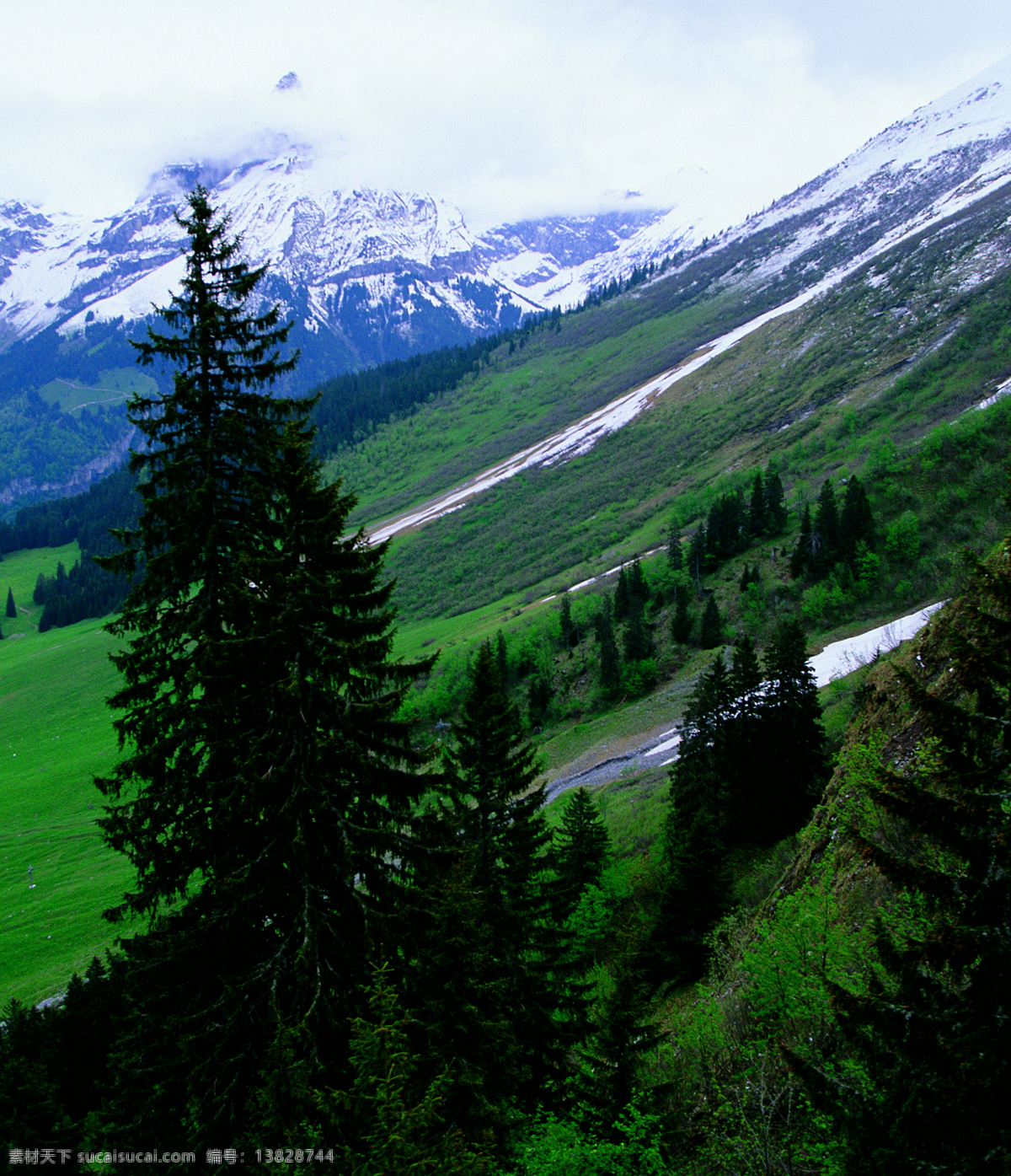 瑞士 雪山 白云 蓝天 森林 风景 生活 旅游餐饮