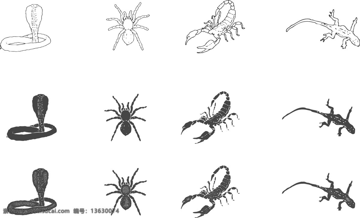 昆虫 手绘 风 野生动物 轮廓 剪影 矢量 蜘蛛 蝎子 卡通 矢量素材 平面设计素材 蛇 壁虎