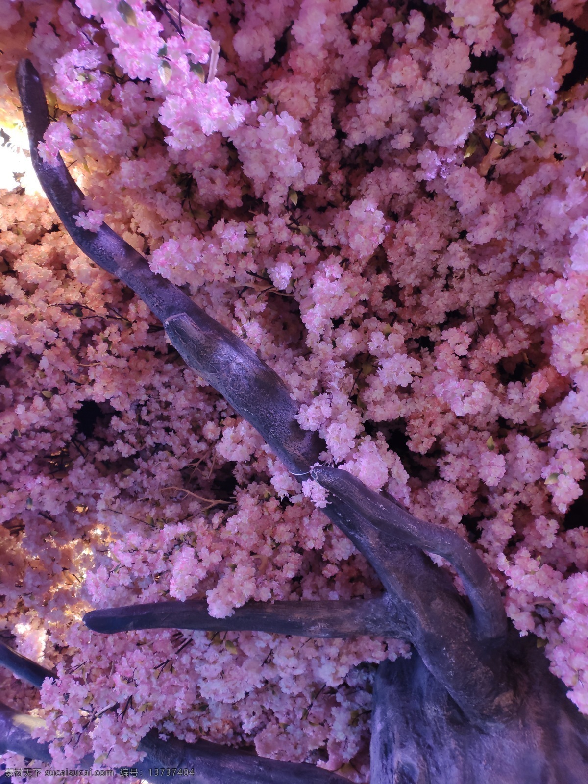 櫻花樹 假樹 仿真樹 自然風景 大樹 粉色的花 自然景觀