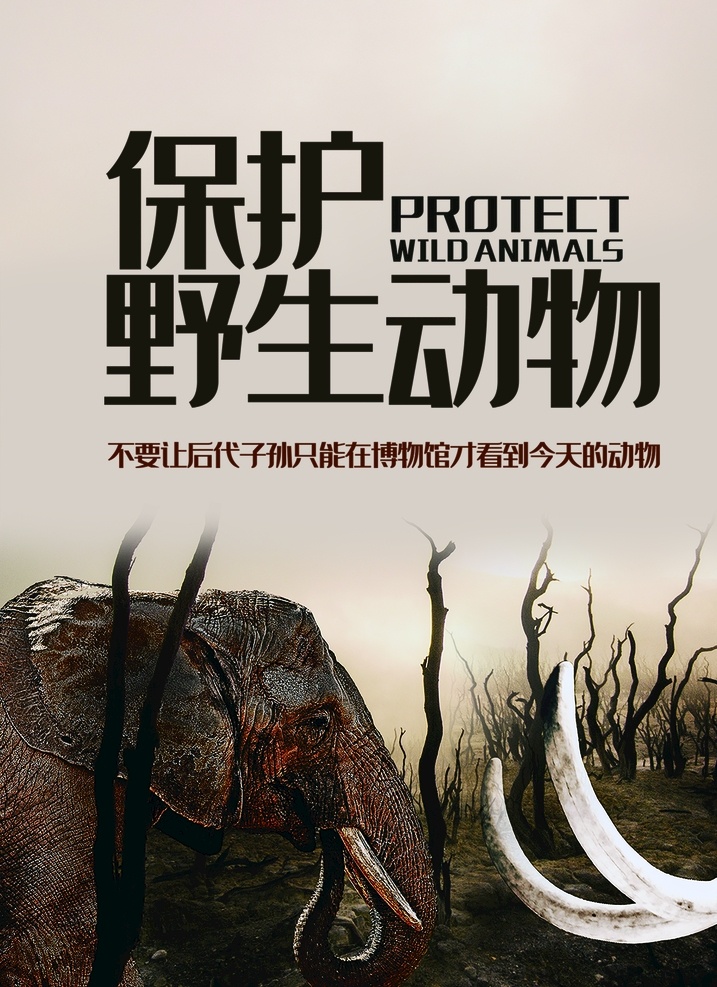 野生救援图片 大象 野生 救援 保护动物 公益广告