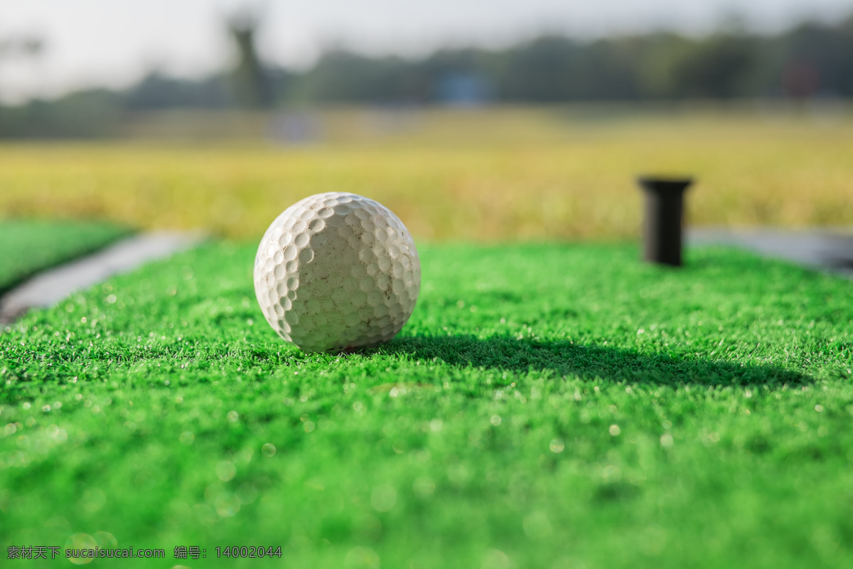 高尔夫球特写 高尔夫球 高尔夫球场 体育运动 休闲运动 生活百科 绿色