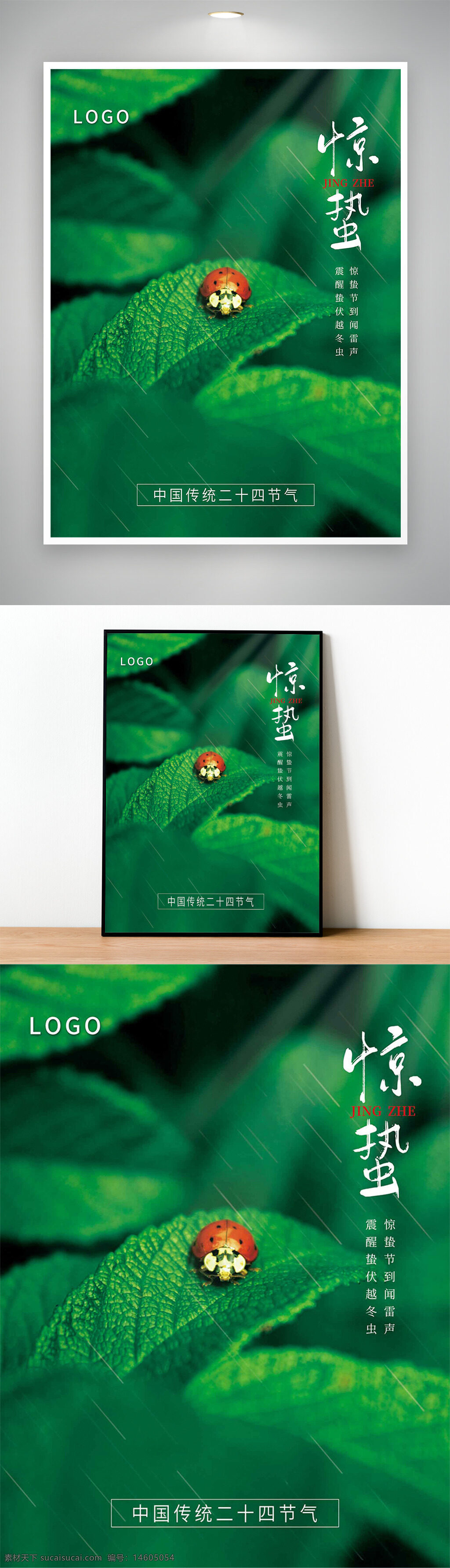 驚蟄 節(jié)氣 二十四節(jié)氣 綠色 樹葉 綠葉 七星瓢蟲 春天 雨水 自然 昆蟲 清新 傳統(tǒng)文化 節(jié)氣海報