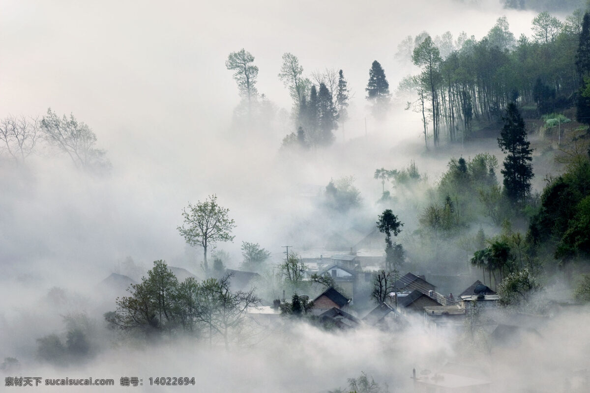 云雾 缭绕 乡村 风光 云雾缭绕 树林 美景 炊烟 乡村风采 自然景观 自然风景
