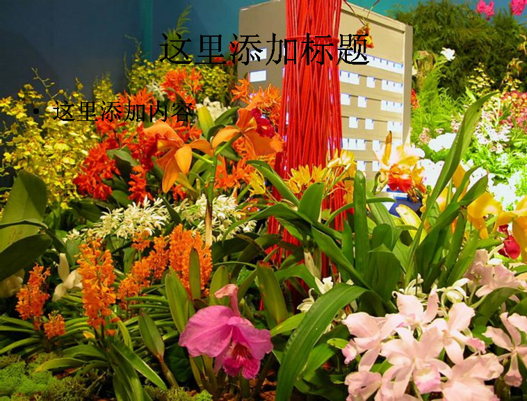 温室 花卉 pptflowersingreenhouse9 花 花儿 自然风景 迷人景色 flowers 温室花卉 模板