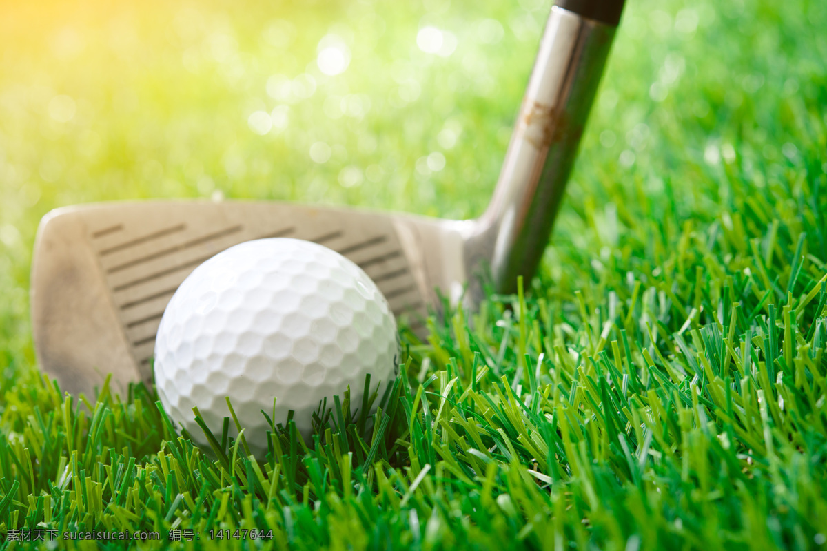 高尔夫球特写 高尔夫球 高尔夫球场 草地 绿地 草坪 体育运动 休闲运动 生活百科 绿色