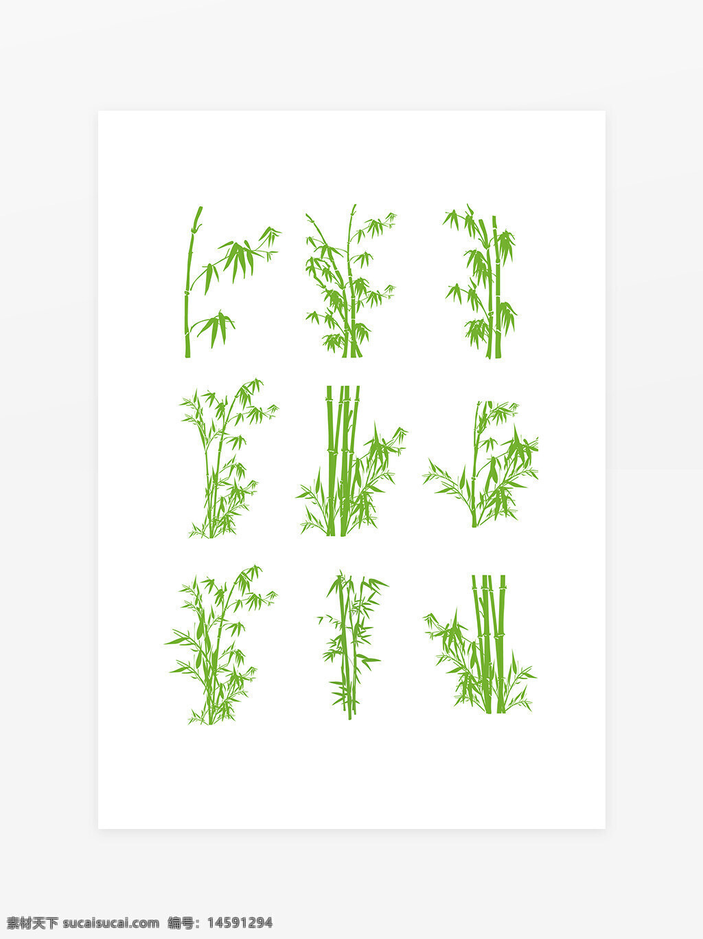 竹子 植物 绿色 自然 装饰 枝叶 茎 叶子 生态 图案 环境 园艺 热带 生长 风格 背景 简约