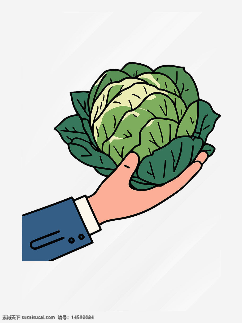 蔬菜 卷心菜 手持 矢量图 绿色 新鲜 健康 食品 营养 素食 有机 植物 食材 厨艺 农产品 自然 素食主义 健康饮食 食物