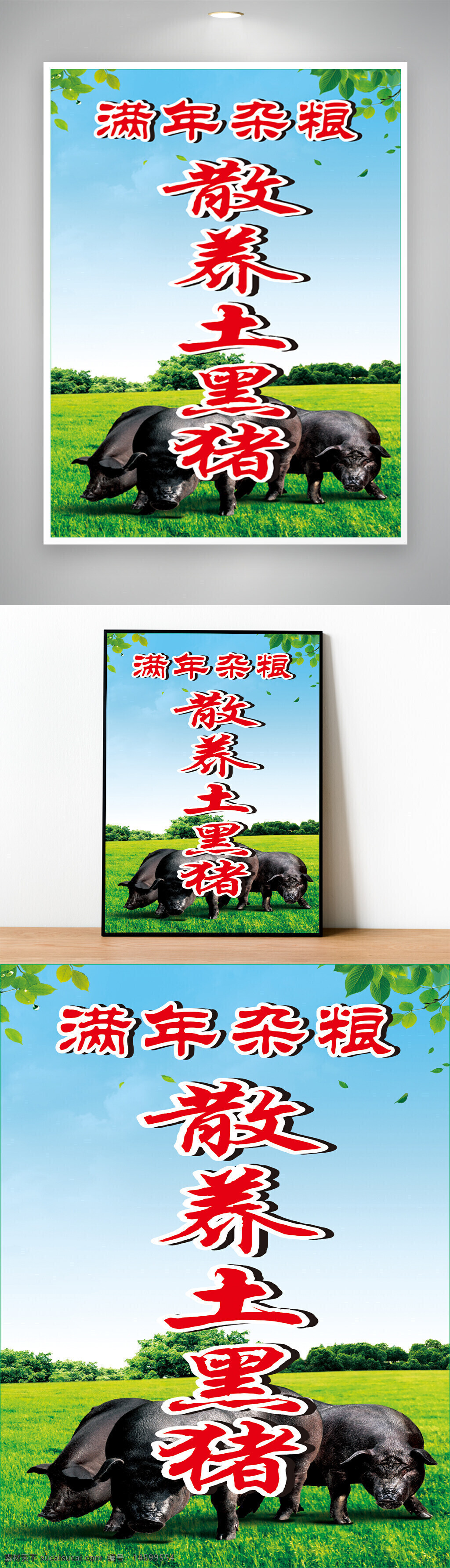 土里豬 散養(yǎng) 農(nóng)業(yè) 養(yǎng)豬 生態(tài)養(yǎng)殖 綠色食品 畜牧業(yè) 農(nóng)場(chǎng) 有機(jī) 農(nóng)產(chǎn)品 自然 健康 農(nóng)業(yè)生產(chǎn) 農(nóng)村 豬肉 農(nóng)業(yè)經(jīng)濟(jì) 畜牧 農(nóng)牧結(jié)合 生態(tài) 養(yǎng)殖技術(shù)