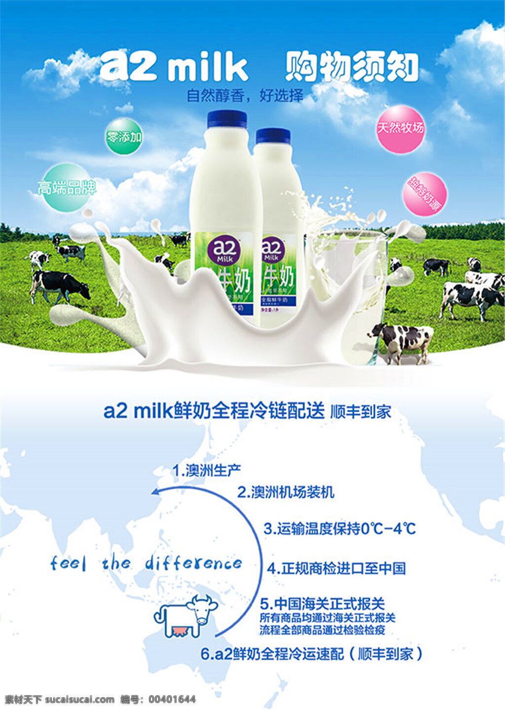 进口 牛奶 宣传单 milk 澳洲 进口牛奶 澳洲牛奶 奶牛 天然牧场 自然醇香
