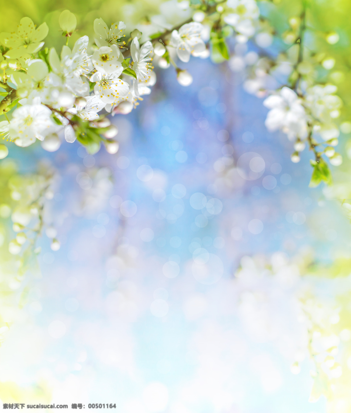 梦幻花卉 梨花开 春来花开 春季背景 春意盎然 彩色梦幻光晕 手绘花卉 花卉 梦幻光斑 梨花 spring 春天 春季 花纹花卉 鲜花 花草背景 花草 生物世界