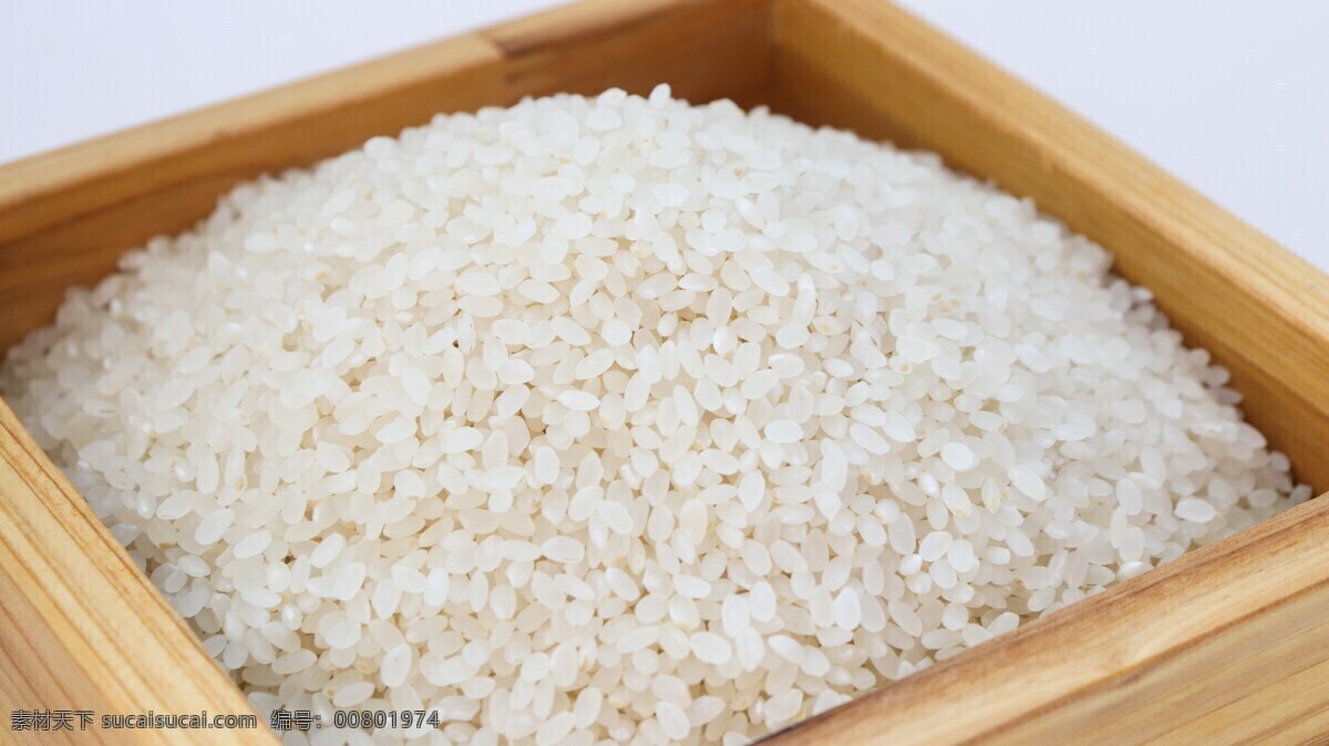 大米 米 食品 稻谷 砻谷 碾米 主要食品 主食 五谷 农产品 水稻 饭 米饭 稻田 稻田背景 稻田壁纸 高清稻田 稻田贴图 田野 田间 耕作 耕地 梯田 梯田水稻 梯田种植 种植 植物 餐饮美食 食物原料