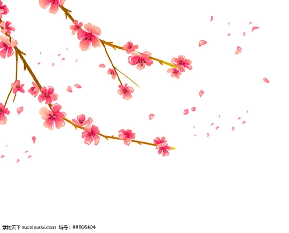 梅花装饰图案 梅花免费下载 手绘 水彩 粉色 梅花