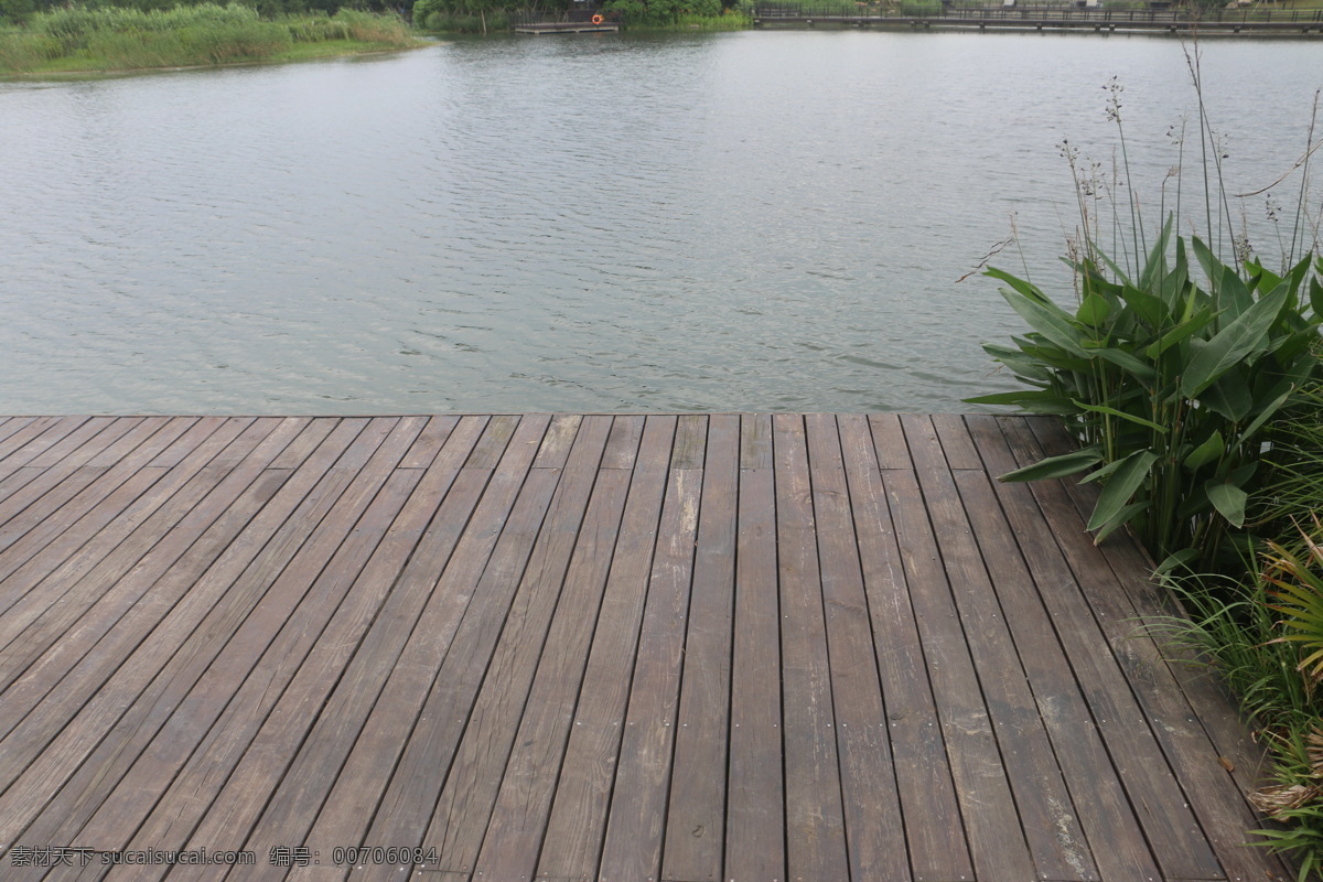 木板绿植风景 木栈道 木板路 风景 自然 外面 自然风景 户外 植物 生态 自然景观