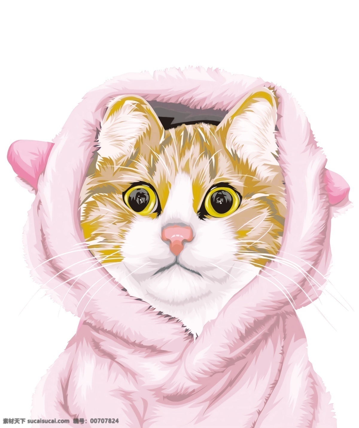 粉帽子猫 粉帽子 猫 插画 图案 印花 服装