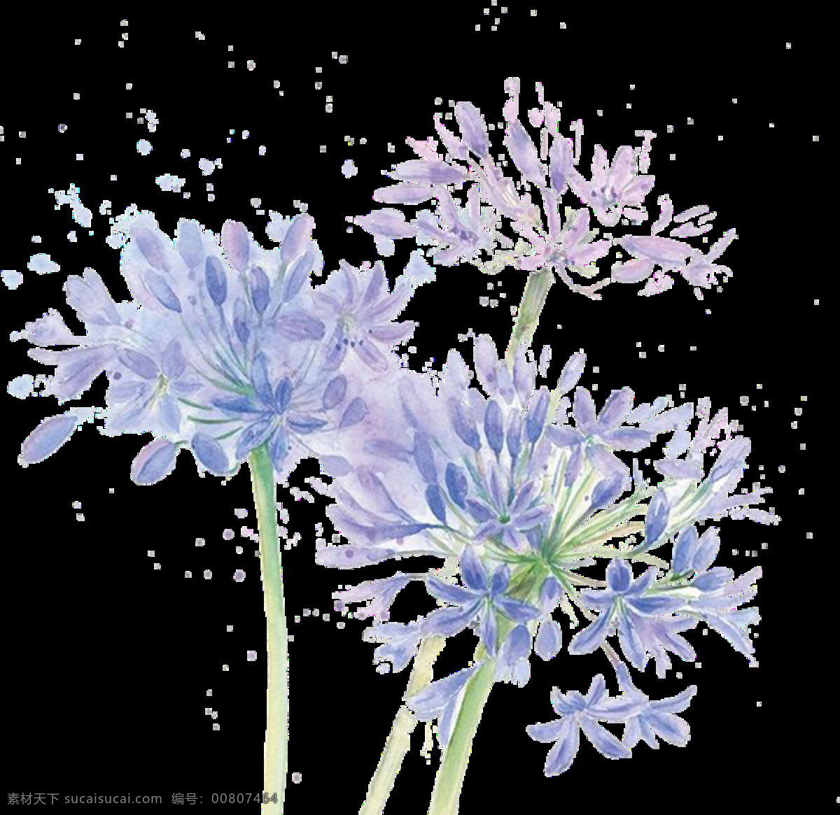 文艺 气质 淡 蓝色 手绘 菊花 装饰 元素 淡蓝色花朵 花朵 清新风 植物 装饰元素