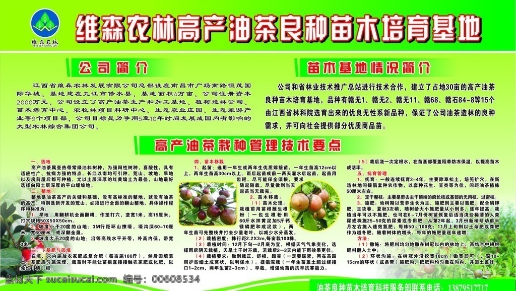 油茶宣传 油茶 良种苗木 油茶简介 宣传栏模板 绿色背景 宣传栏 矢量