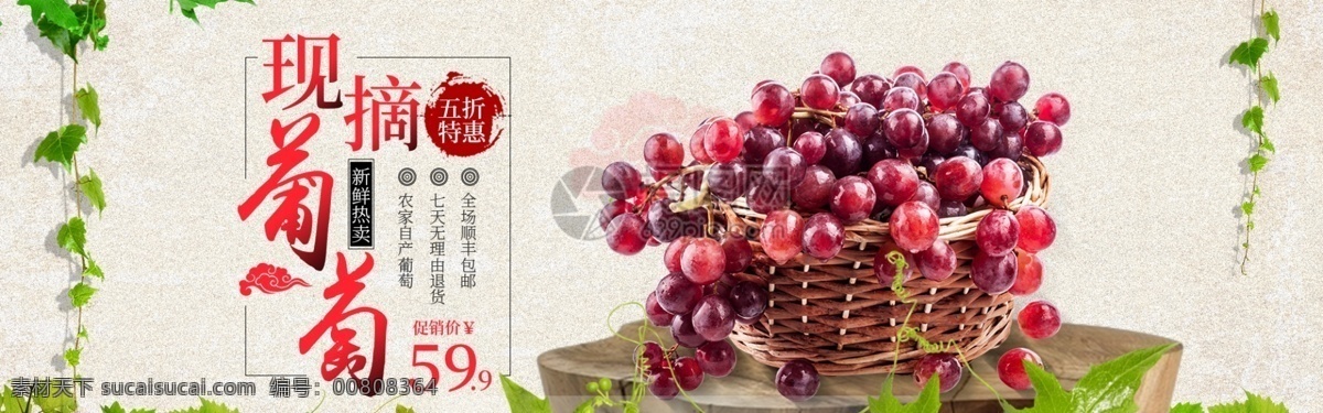 现 摘葡萄 新鲜 水果 淘宝 banner 葡萄 生鲜 食品 美食 电商 天猫 淘宝海报