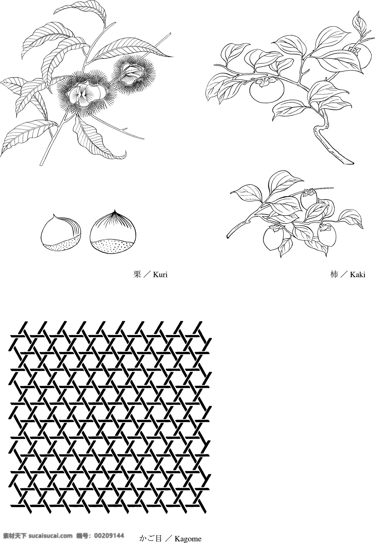 栗子 线条 白描 矢量素材 柿子 矢量图 其他矢量图