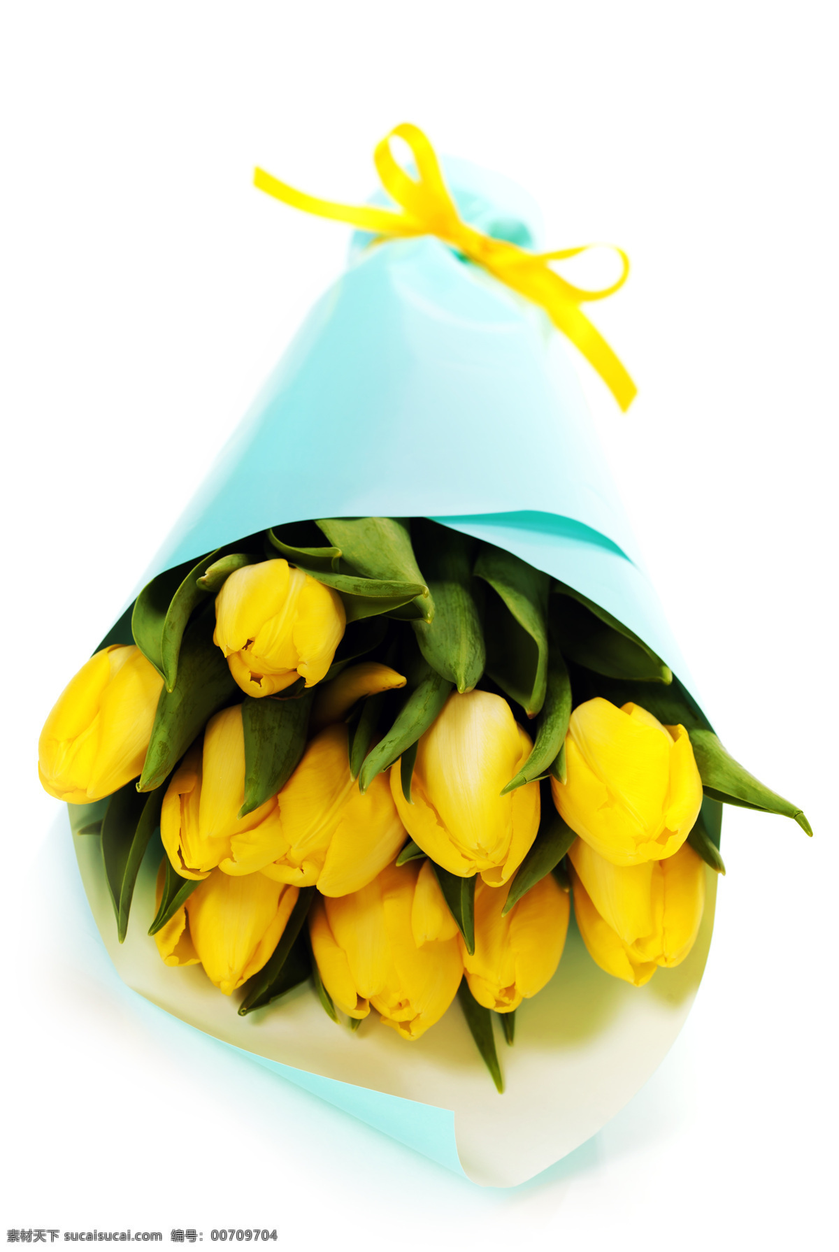束 黄色 郁金香 复活节 彩蛋 花束 鲜花 花卉 花朵 美丽鲜花 美丽花朵 花草树木 生物世界
