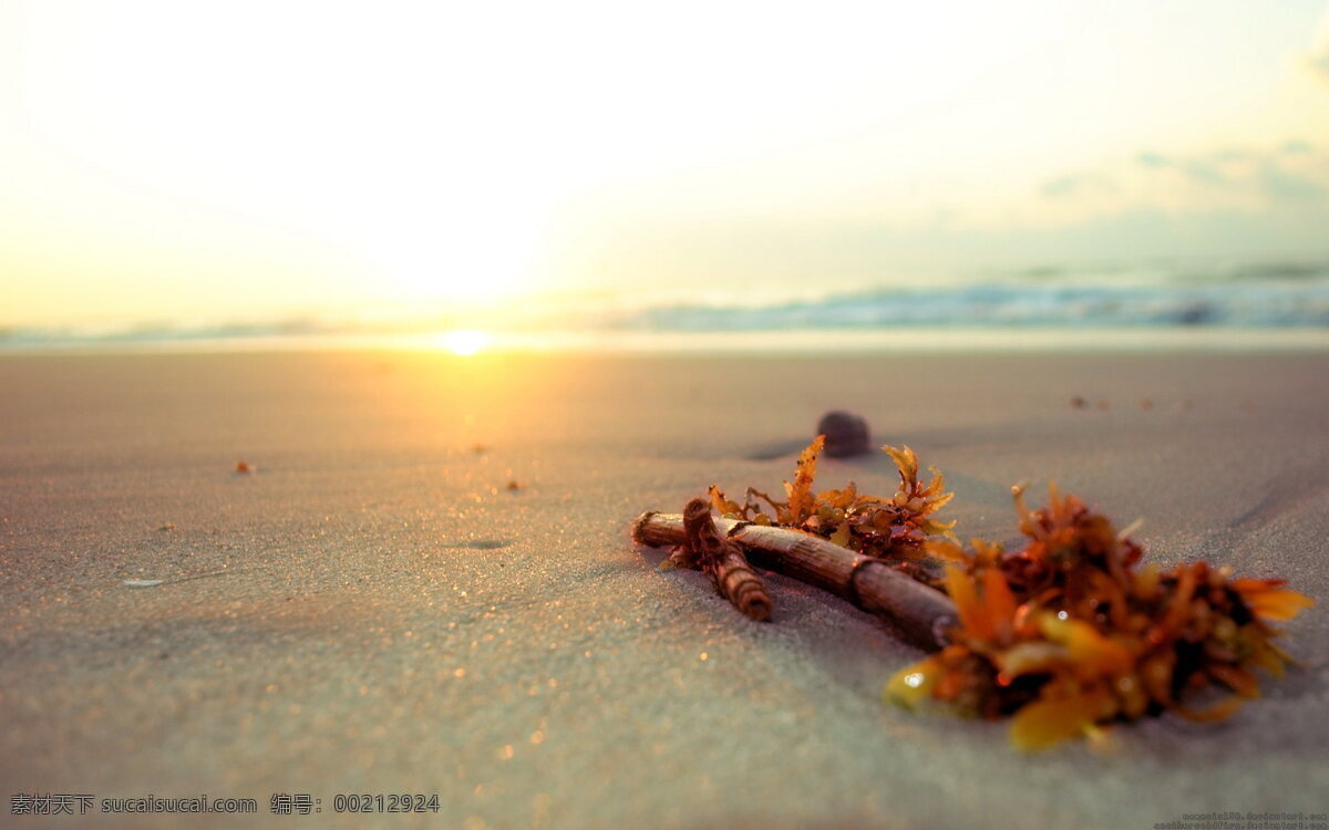 唯美 阳光 沙滩 风景 高清 非主流 逆光 光芒 海滩