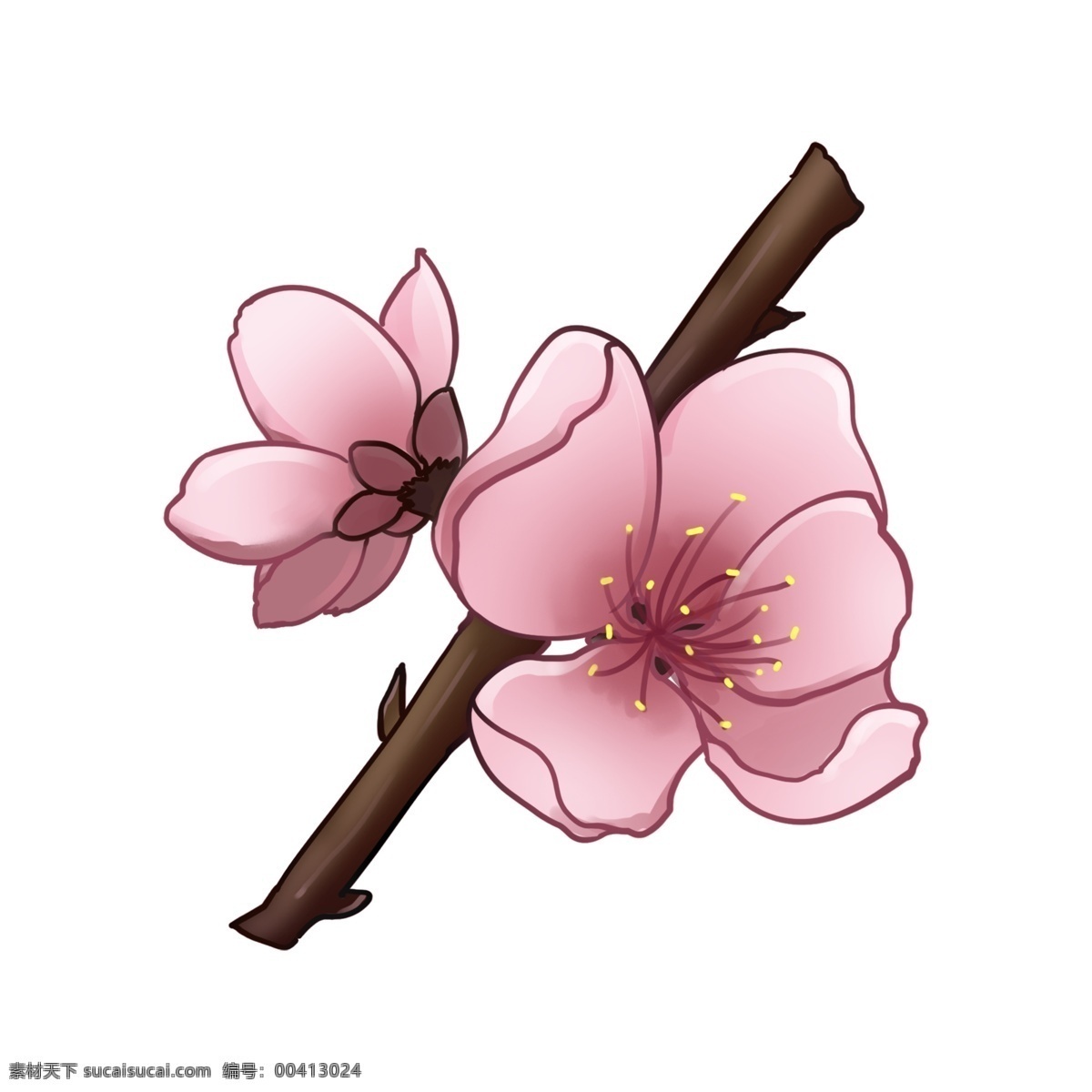 两 朵 漂亮 桃花 插图 粉色桃花 花儿 花朵 两朵桃花 漂亮的桃花 树枝 桃花枝 花儿插画 粉色花
