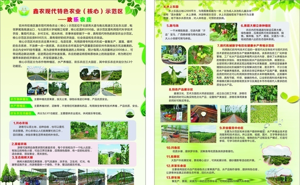 农场 蔬菜大棚 水果大棚 欢乐农庄 有机水果 dm宣传单