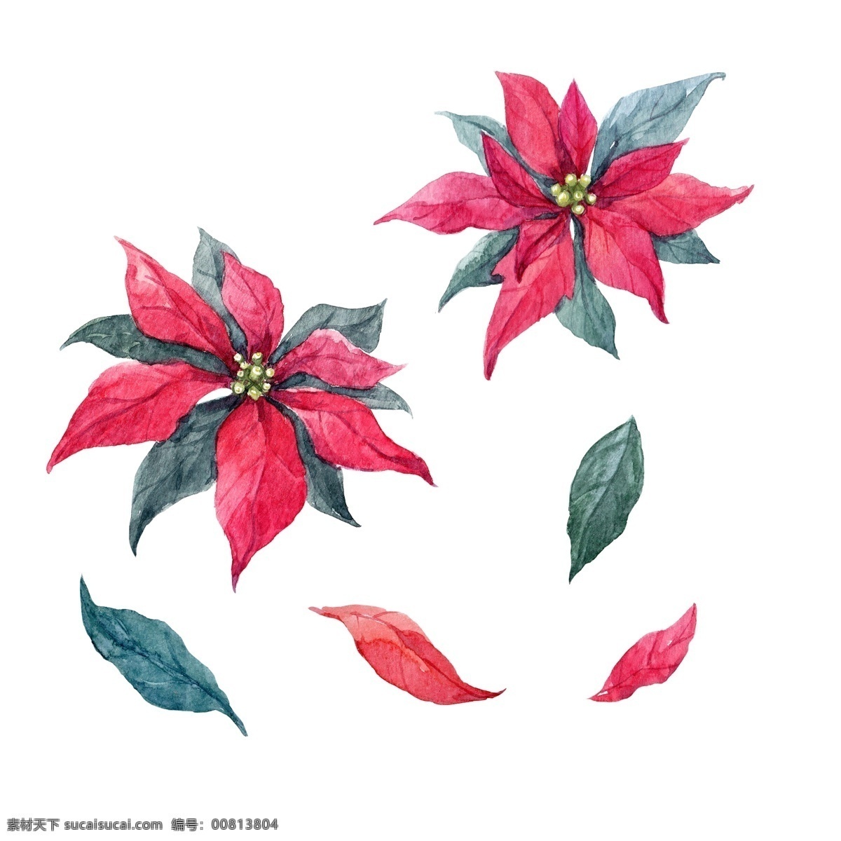 手绘 花草 落叶 源文件 红色 花瓣 绿叶 圣诞花 装饰图案
