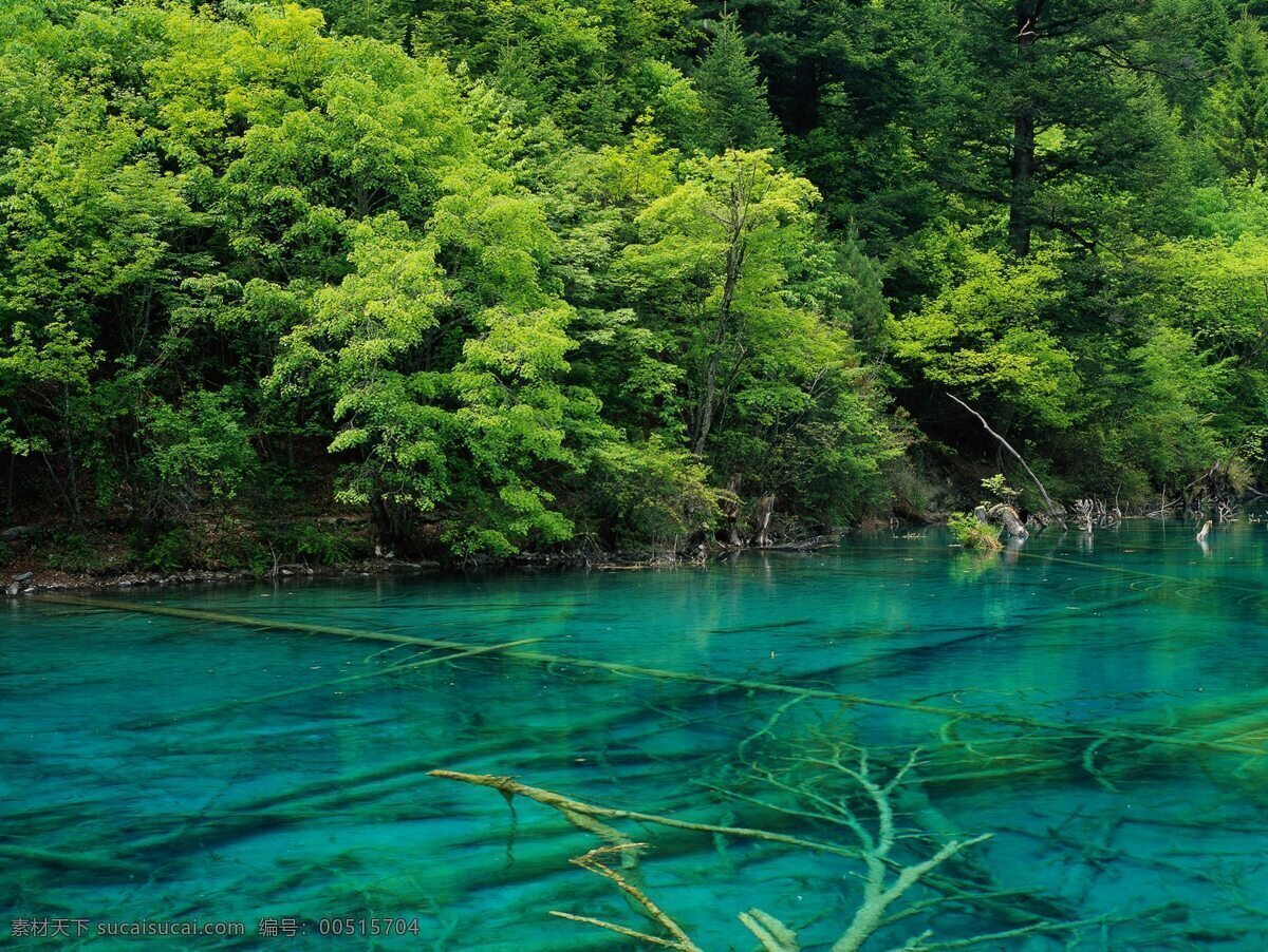 背景 倒影 树林 清澈的湖水