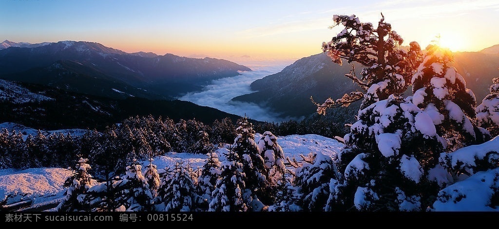 日出 山顶 雪山 树枝上的雪 阳光 山峰 自然景观 山水风景 摄影图库 风景