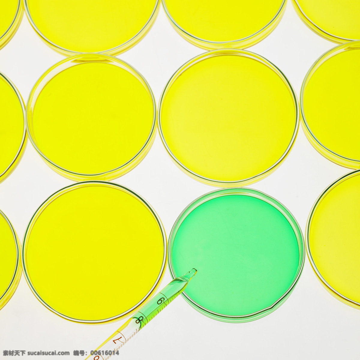 实验室 设备 科学研究 器具 现代科技 实验室设备 化学研究试管 烧瓶 量杯 滴管 化学 矢量图