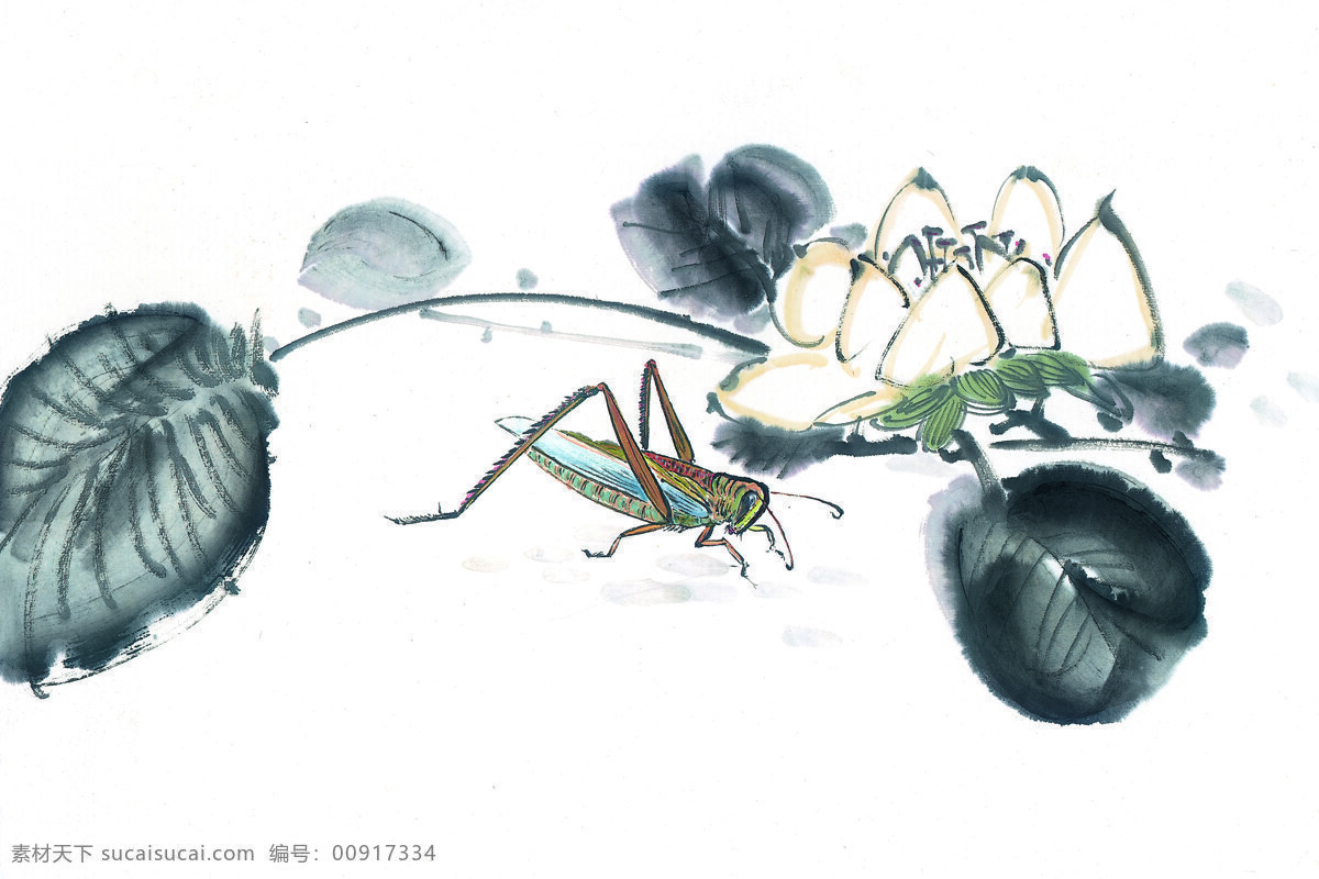树枝免费下载 花瓣 蝗虫 昆虫 蚂蚱 蛐蛐 树枝 水墨画 知了 中华艺术绘画 文化艺术