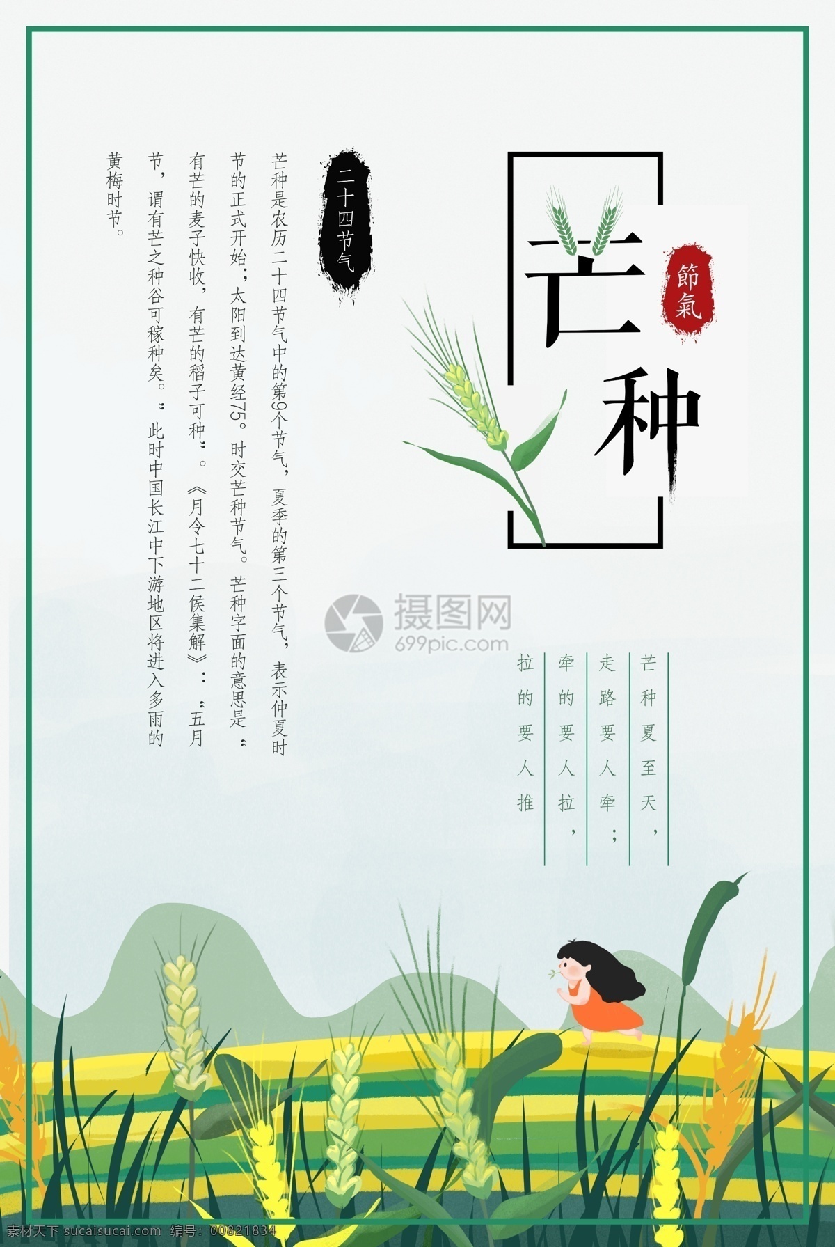 二十四节气 芒种 海报 24节气 传统节日 收获 农历节气 文化 麦子 麦穗 农民 收成 清新 秋收
