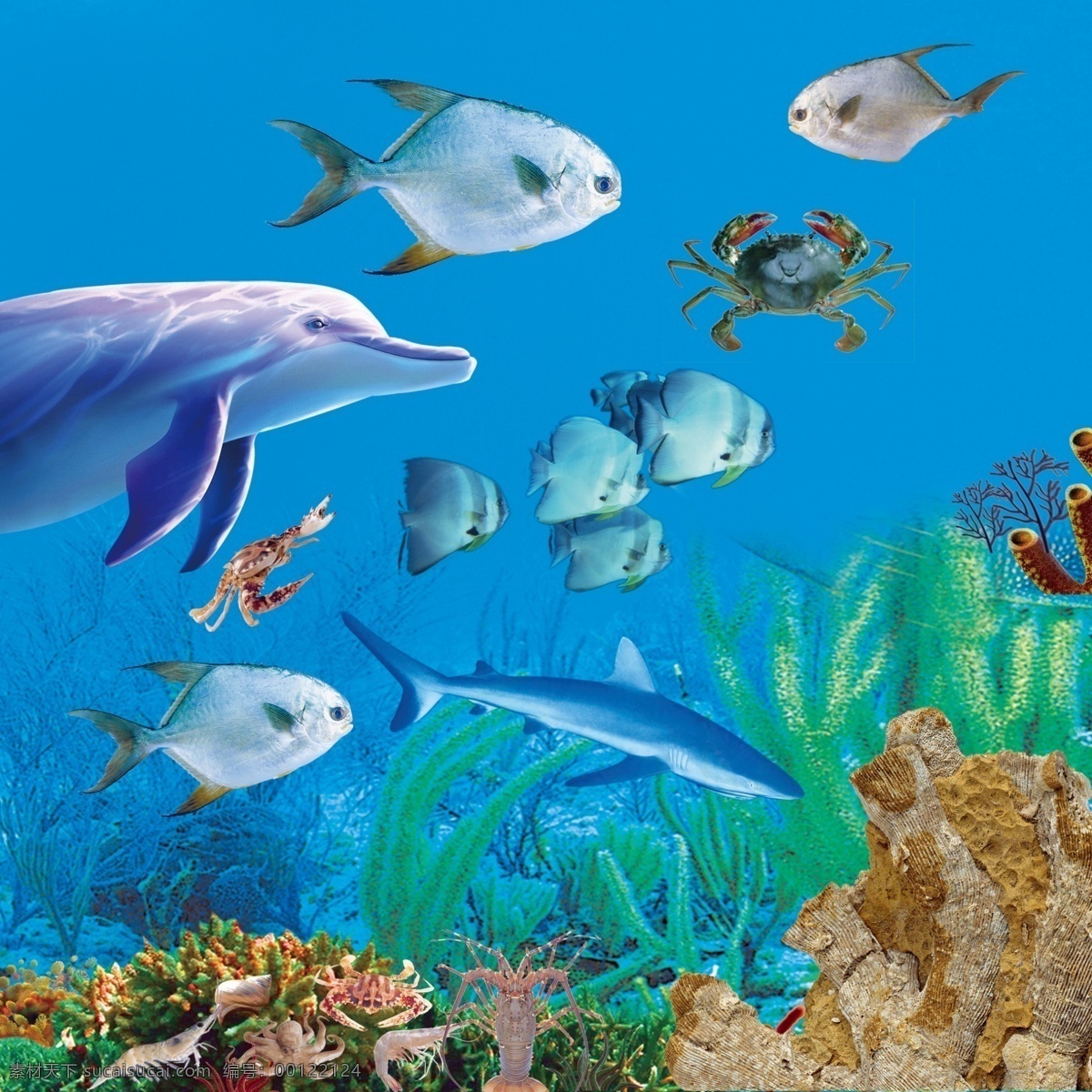 海底世界 海底 世界 模板下载 鲨鱼 珊瑚 海底背景 鱼 海藻 海底素材 源文件 水泡 五颜六色的鱼 分层