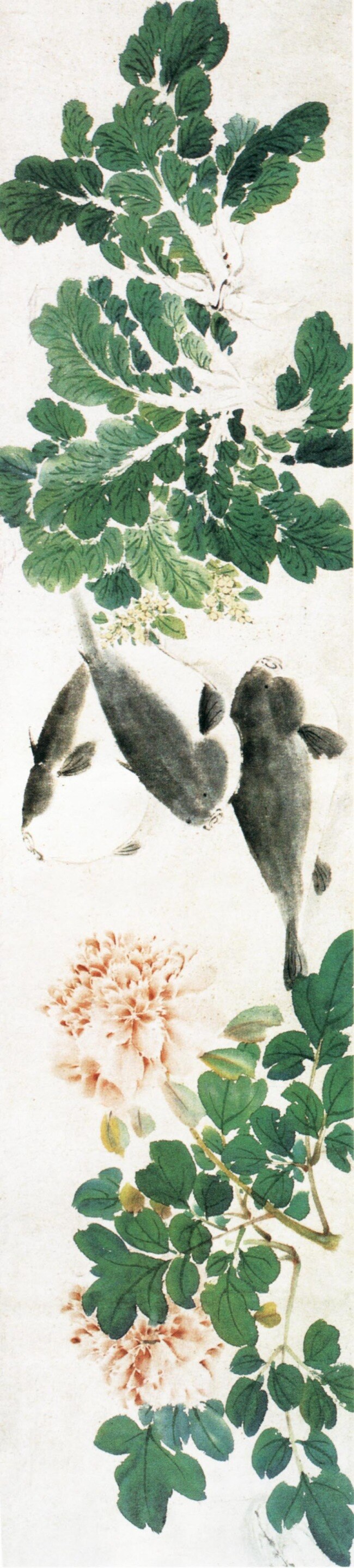 牡丹 鱼 古典 古画 国画 绘画 水墨 中国画 牡丹鱼 中华传世国画 中国画艺术 文化艺术