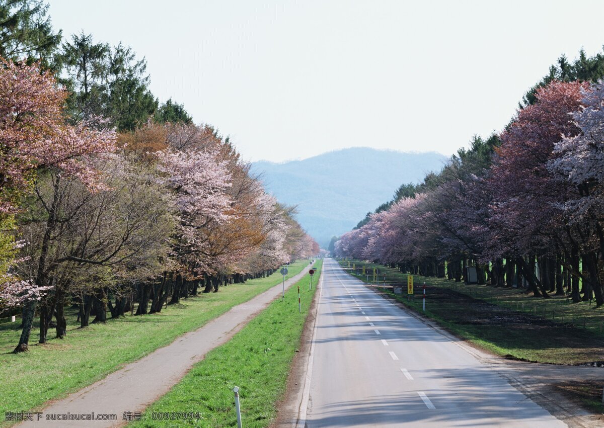 风景 国外旅游 旅游摄影 美景 日本 日本风景 自然风景 自然景观 北海道 春季 北海道美景 北海道风景 psd源文件