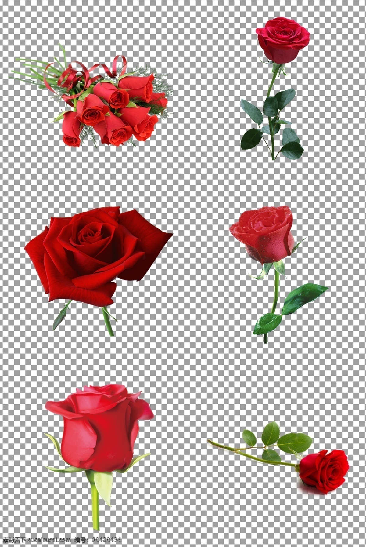 红色玫瑰花 鲜艳 鲜花 玫瑰花 花朵 植物 免抠 无背景 免抠图 抠图 元素 透明 通道 png免抠图 分层