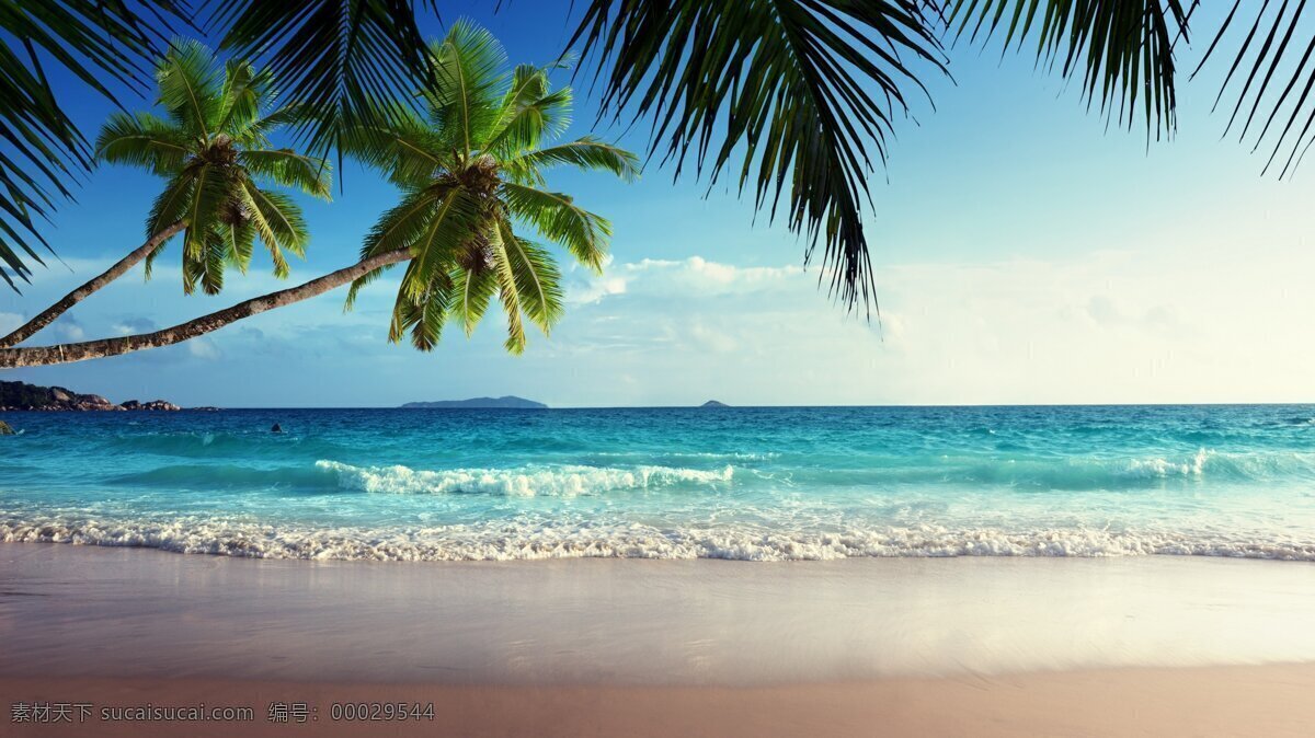 沙滩 椰树 海滩 海景 海景图片 海浪