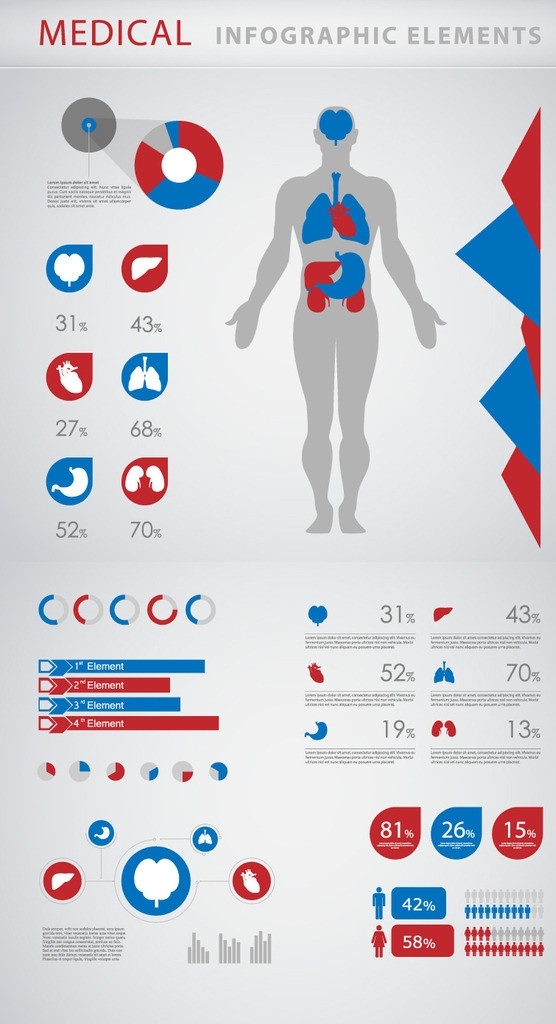人体 解剖 信息 图表 分 大脑 心脏 分类图表 数字 并列 对比 包含 循环 人体器官 演示文稿 ppt素材 模板下载 分析图表 矢量 图表设计 比例图 图表设计元素 对话框 通信 图标 横条 标志 标签 logo 小图标 标识标志图标