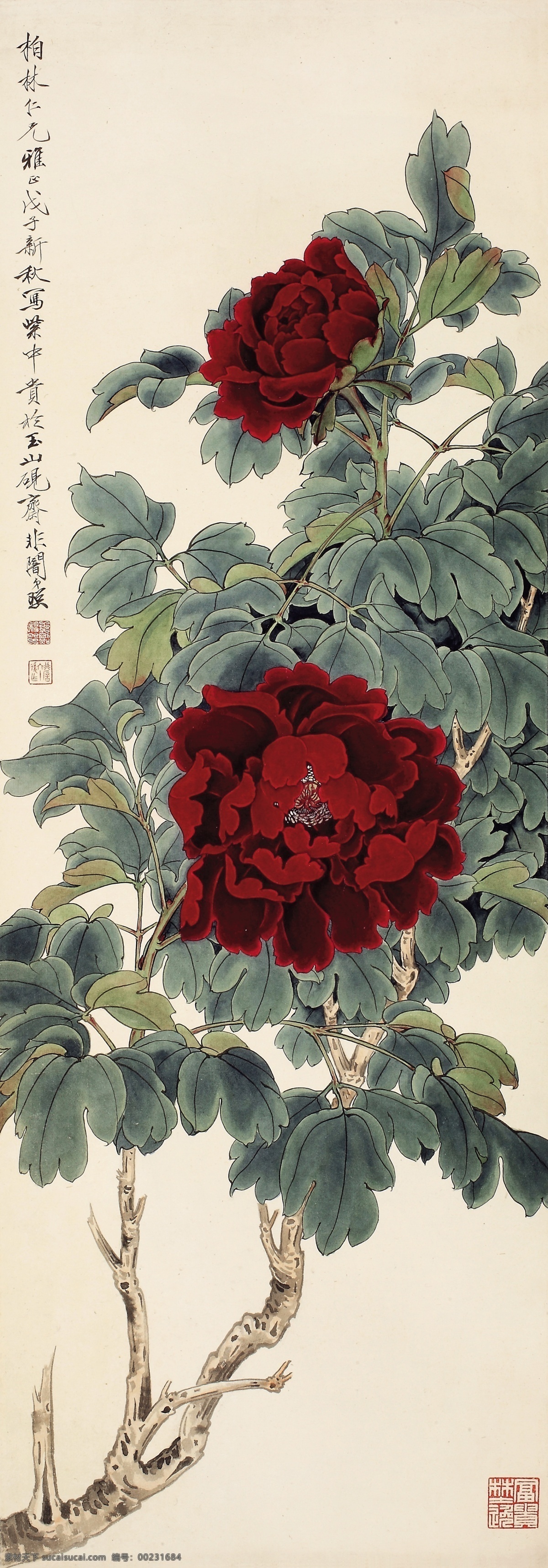 牡丹 墨牡丹 工笔 花鸟 于非闇 花魁 绘画书法 文化艺术