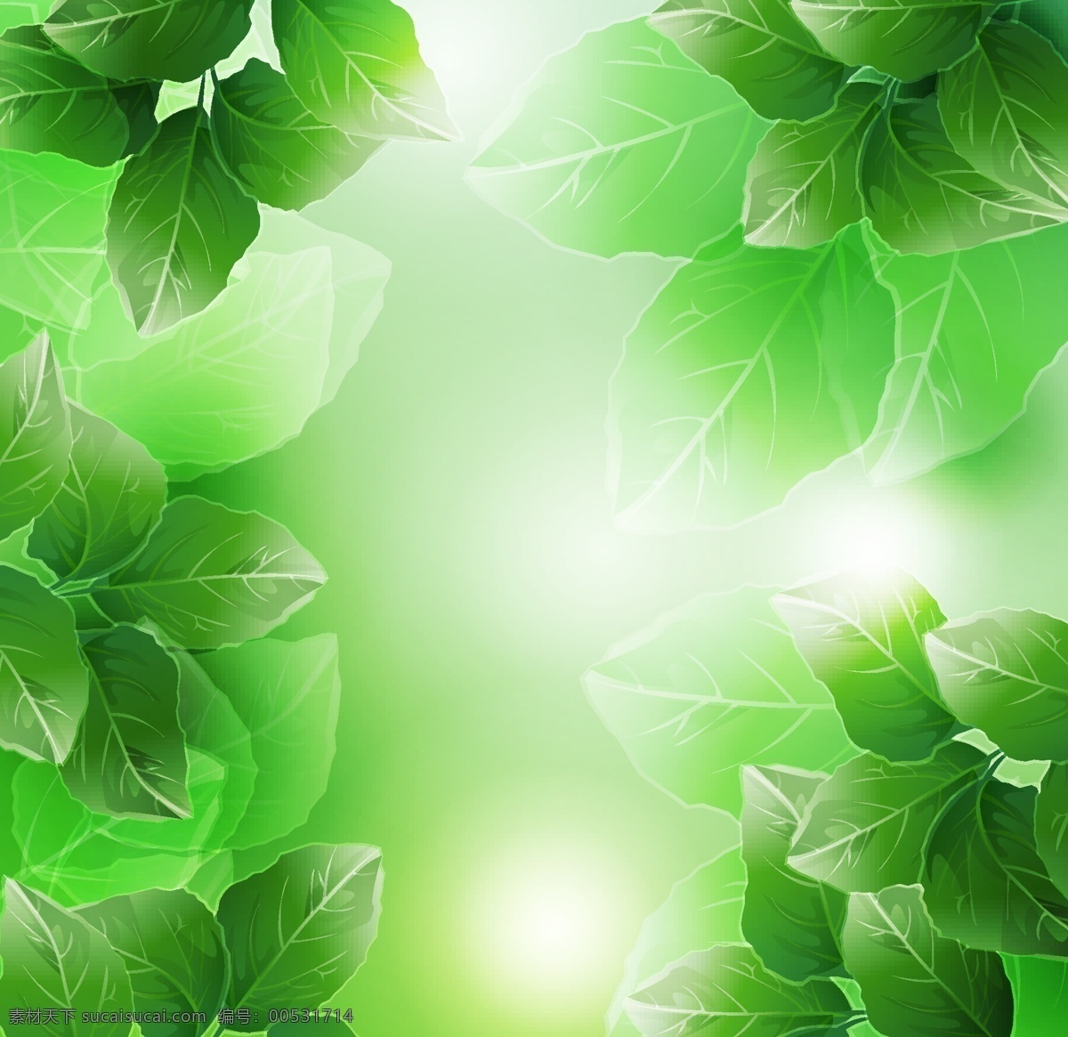矢量 梦幻 植物 光晕 绿叶 背景 春意 光斑 矢量素材 树叶 矢量图 其他矢量图