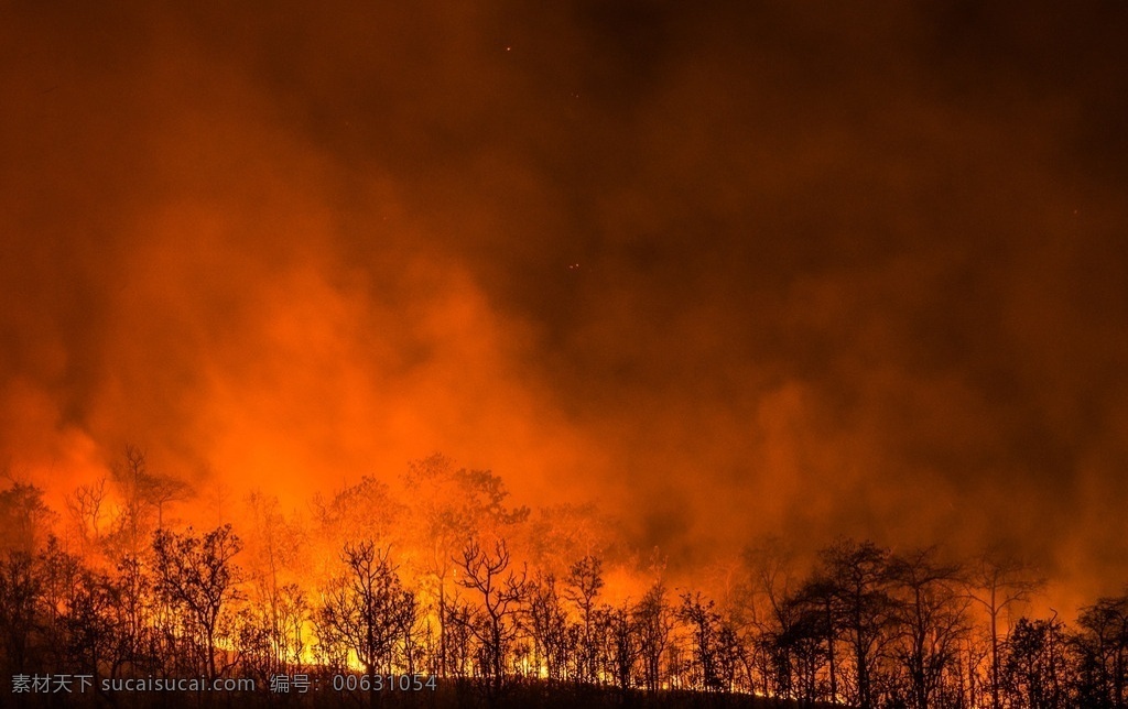 唯美 自然 森林大火 火灾 山火 烈火 自然景观 自然风景