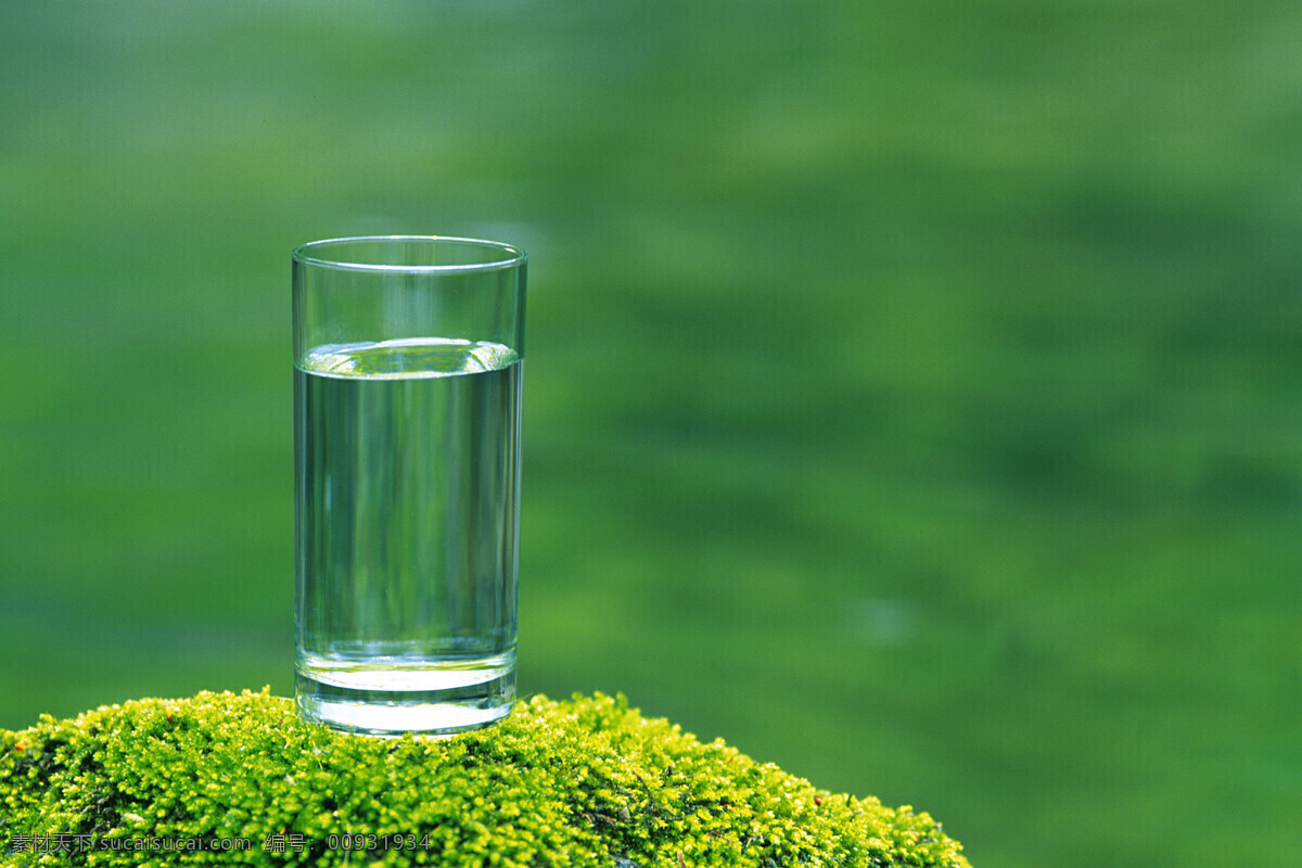 玻璃水杯 玻璃 水杯 水 青苔 宁静 绿色 户外 旅游摄影 摄影图库