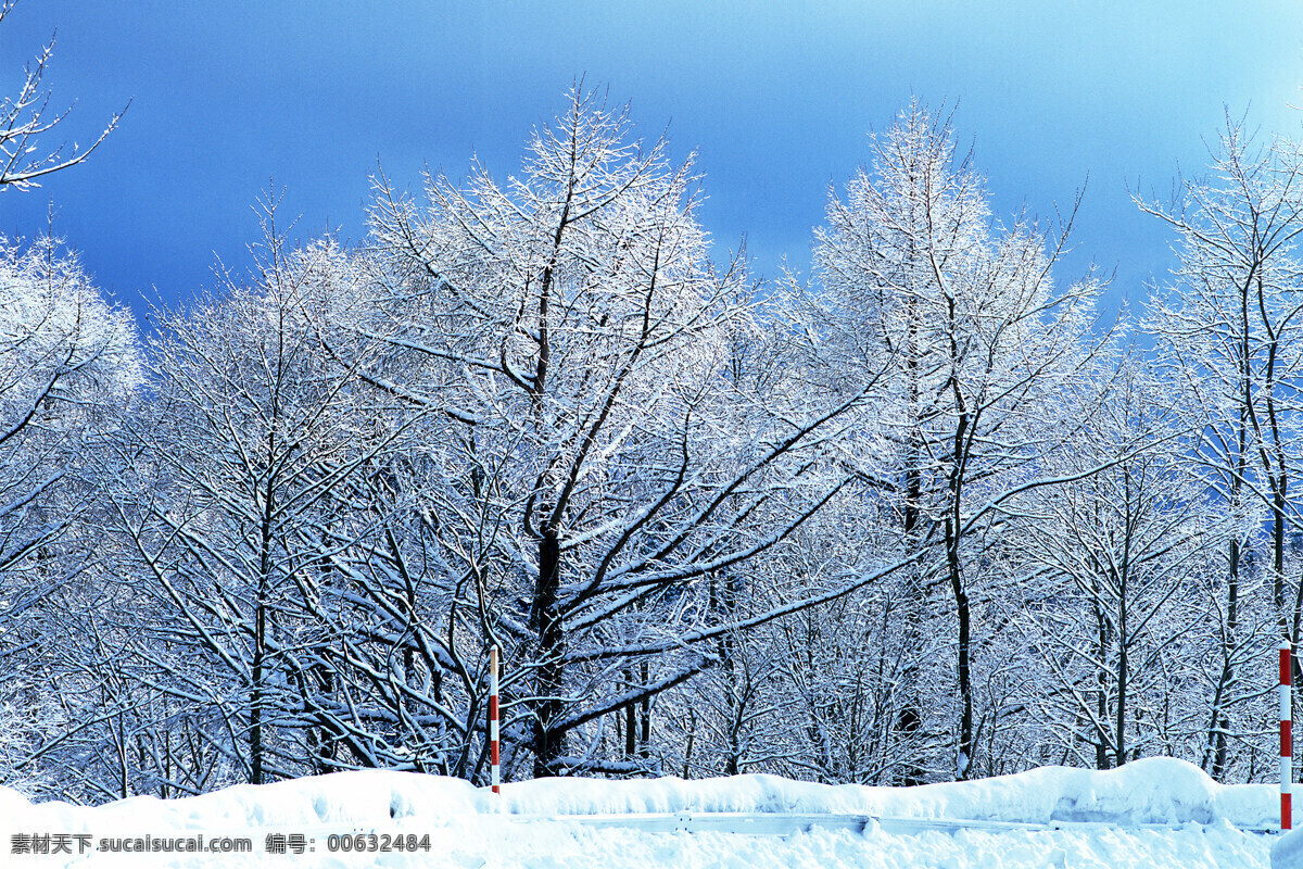 冬天 雪景 高清图片素材 树枝 高清 风景 生活 旅游餐饮