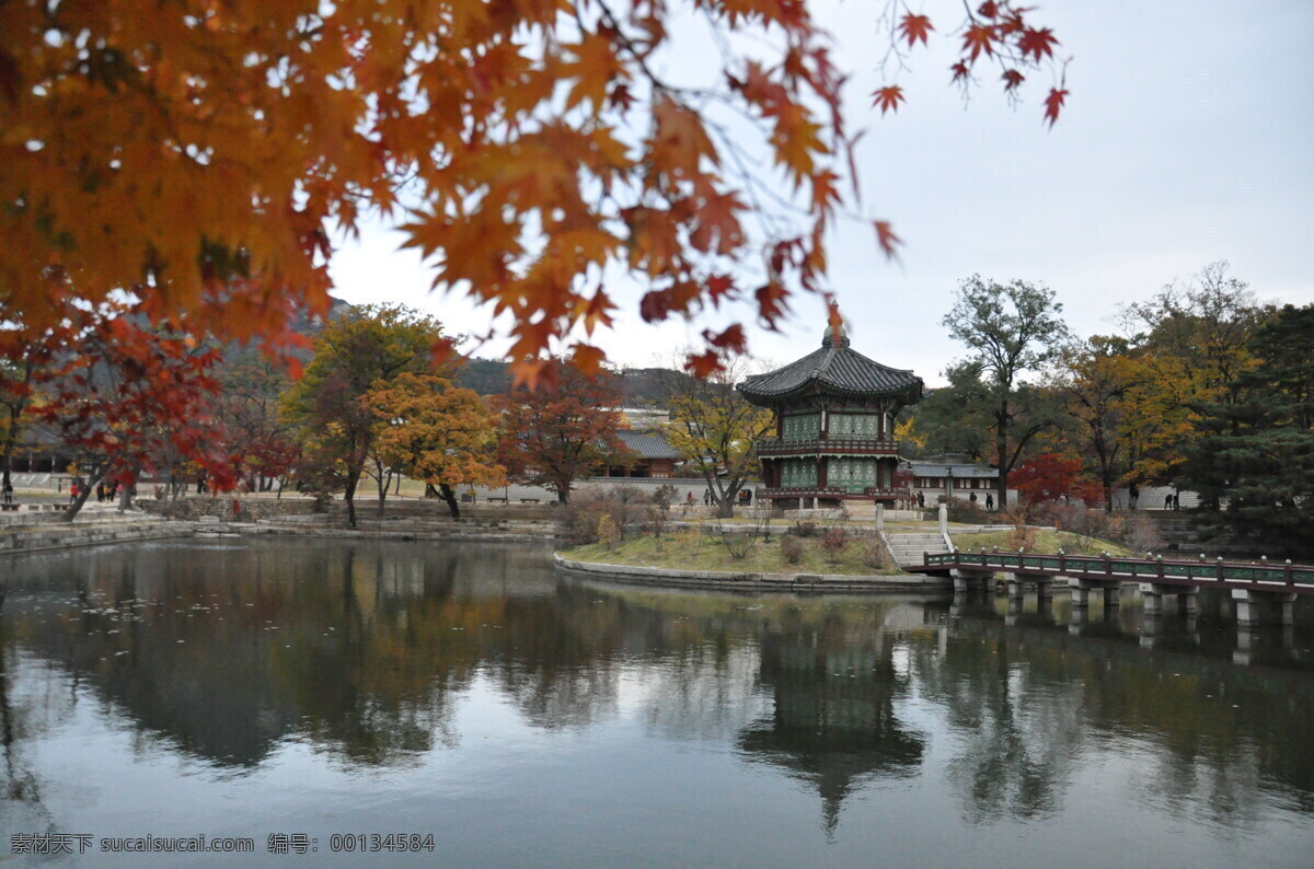 韩国 景福宫 风景 旅游 首尔 树木 枫叶 建筑 池塘 国外旅游 旅游摄影