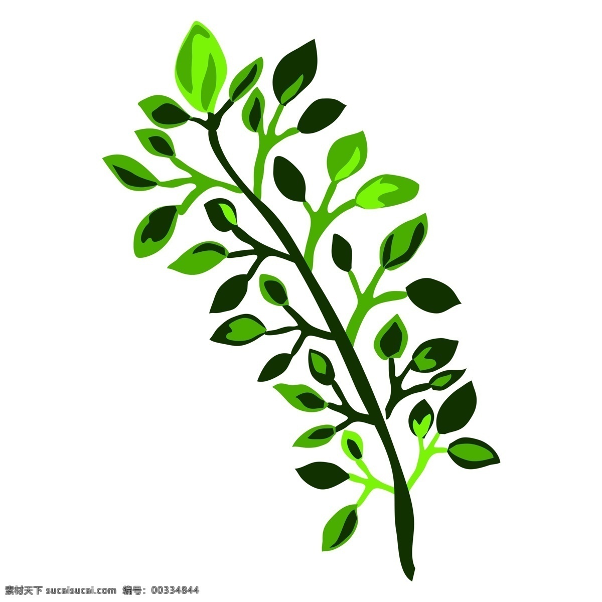 手绘 插画 树叶 植物 叶子 浪漫 唯美 清雅 装饰图案 免扣素材 透明素材