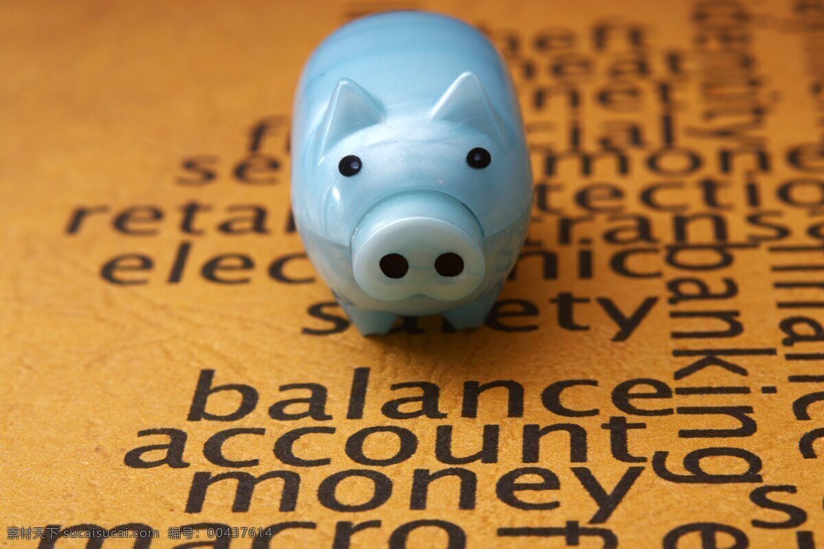 小 猪 银行 结算 账户 钱 商务金融