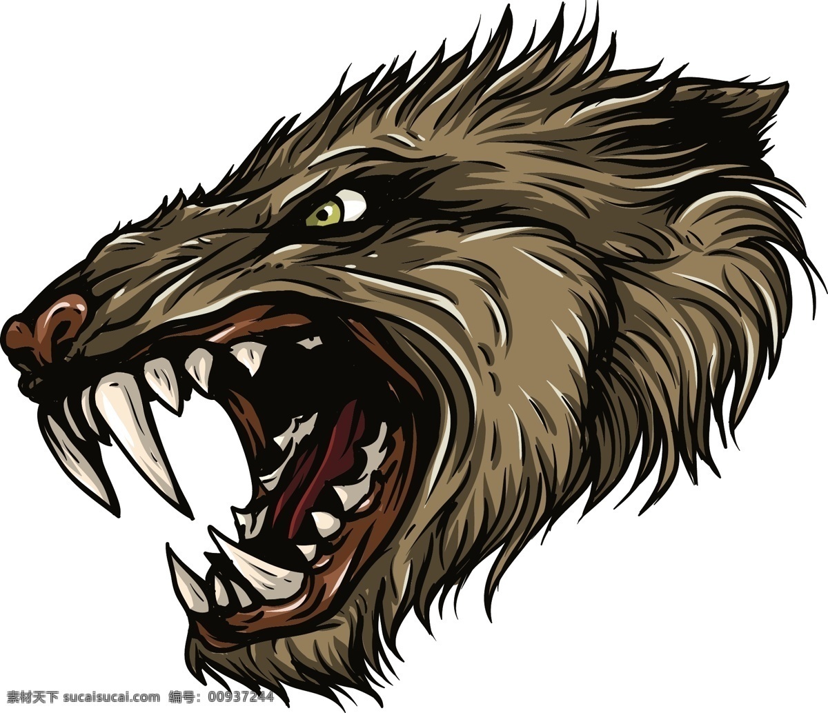 彩色狼头 车贴图案 狼 野狼 贴画 图标 卡通