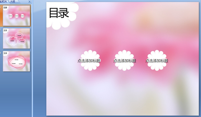 粉色 非洲菊 模板下载 背景 花草 菊花 模板