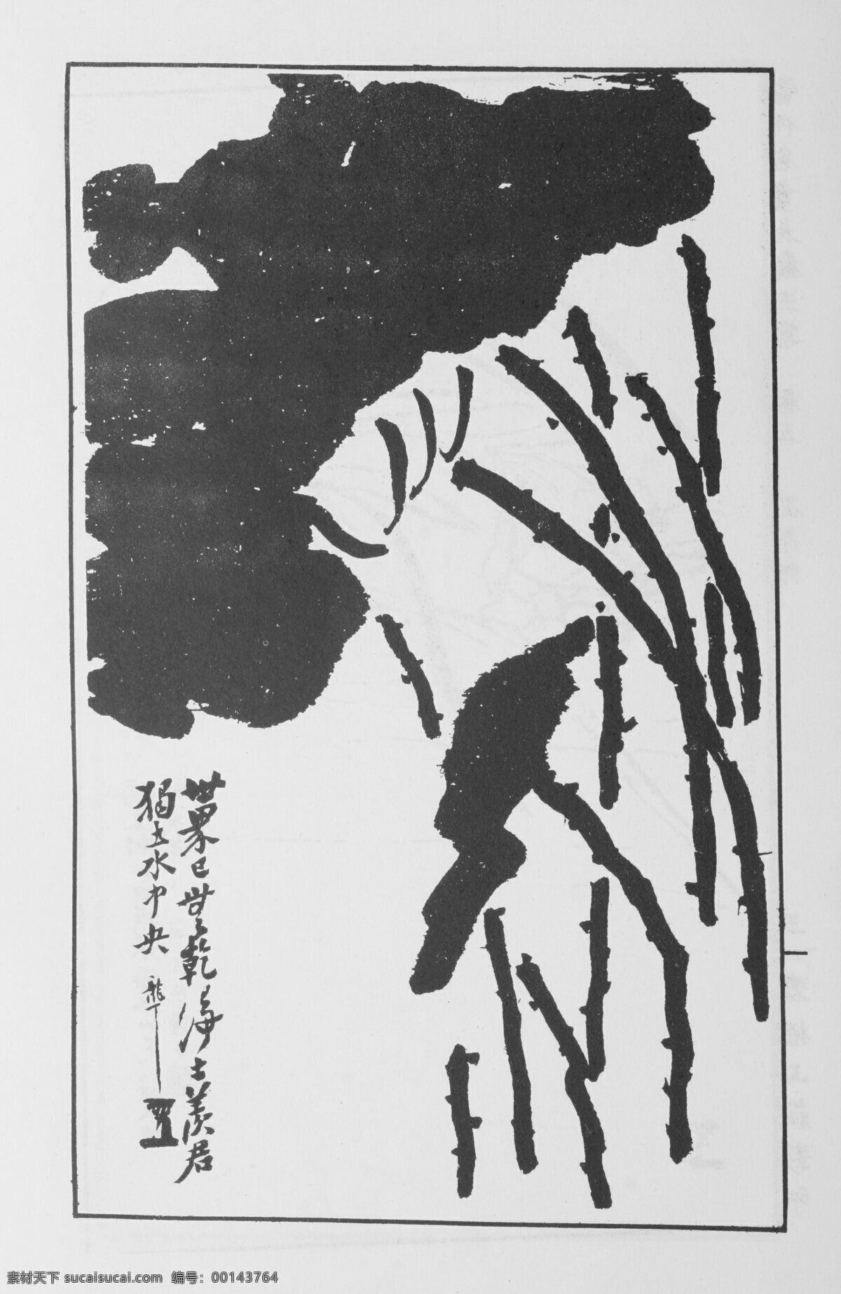 花卉画 中国画 当代 名画 大观 正 集 设计素材 花鸟画篇 中国画篇 书画美术 白色