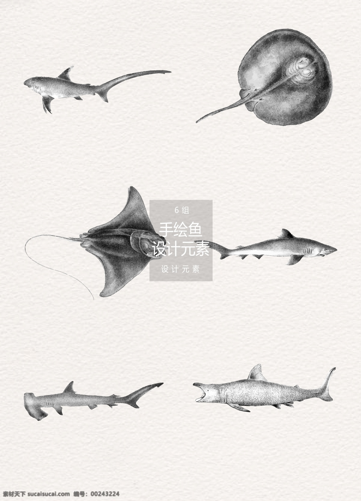 手绘 鱼 插画 元素 手绘鱼 鱼插画 设计元素 深海鱼 海鲜